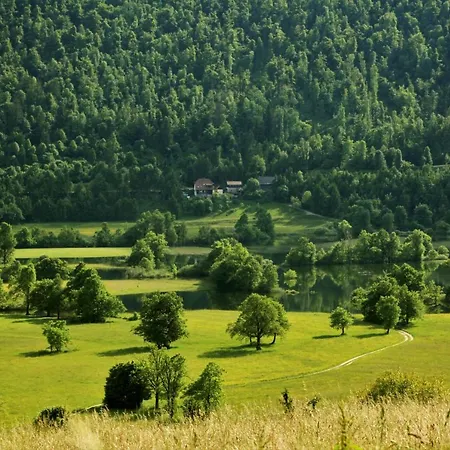 Pensjonat Sefic 3*