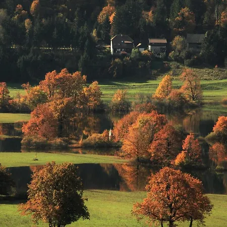 Maison d'hôtes Sefic