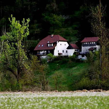 게스트하우스 Sefic Planina (Notranjska)