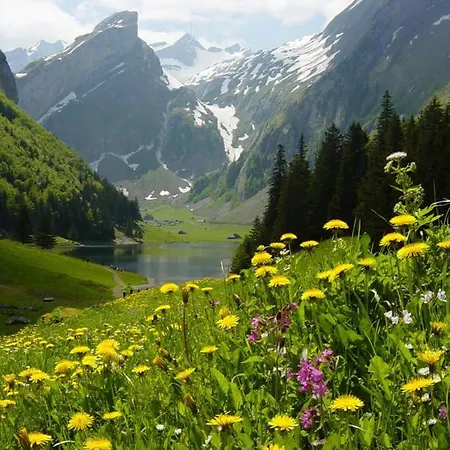 게스트하우스 Sefic Planina (Notranjska)
