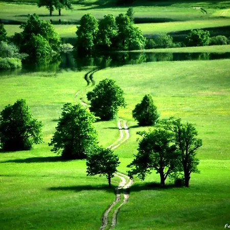 Sefic 게스트하우스 Planina (Notranjska)