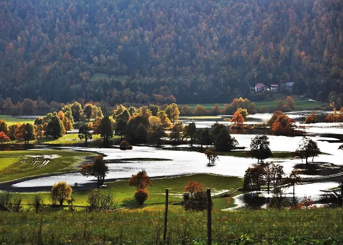 Vendégház Sefic 3*