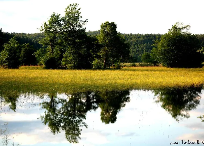 Sefic Vendégház 3*