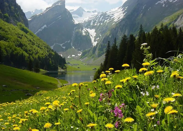 Vendégház Sefic Planina