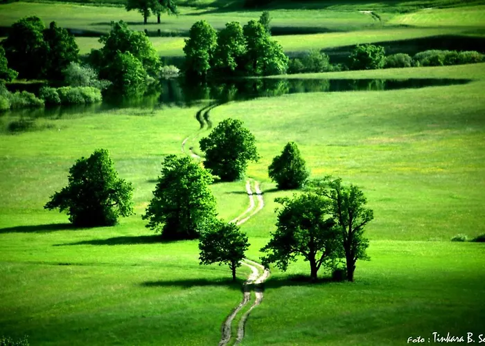 Sefic Vendégház Planina